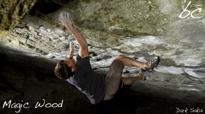 David in "Dark Sakai"